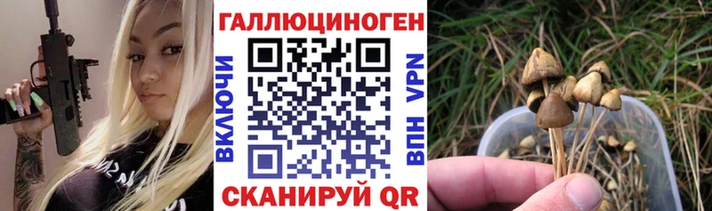 дарнет шоп  Тутаев  Псилоцибиновые грибы прущие грибы 