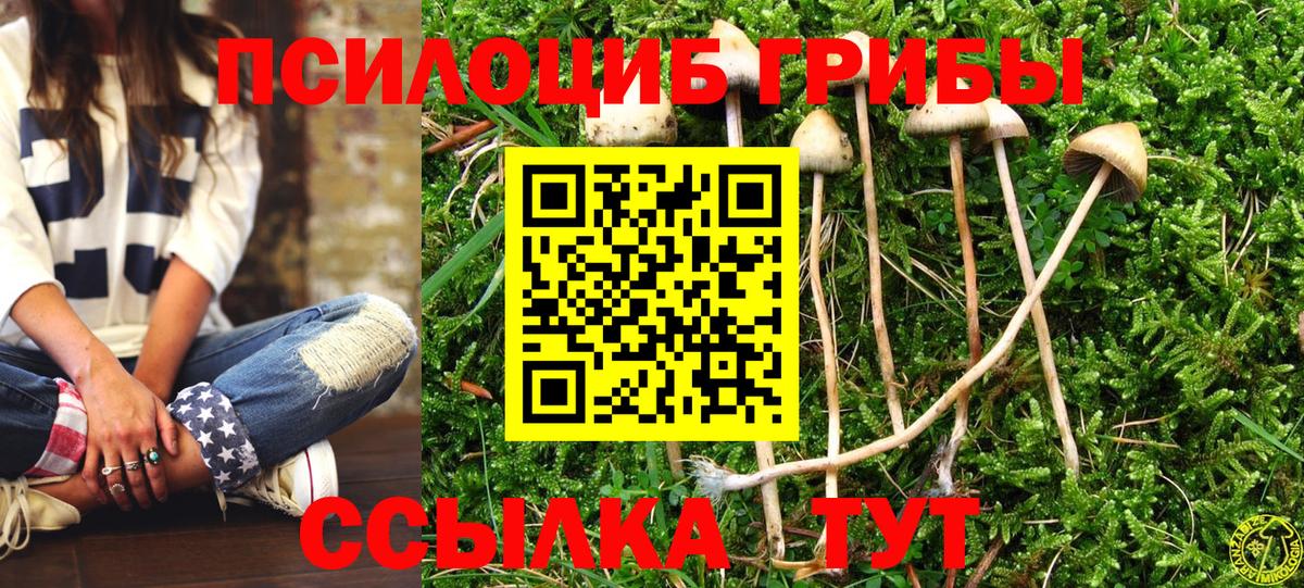 Галлюциногенные грибы ЛСД Тутаев