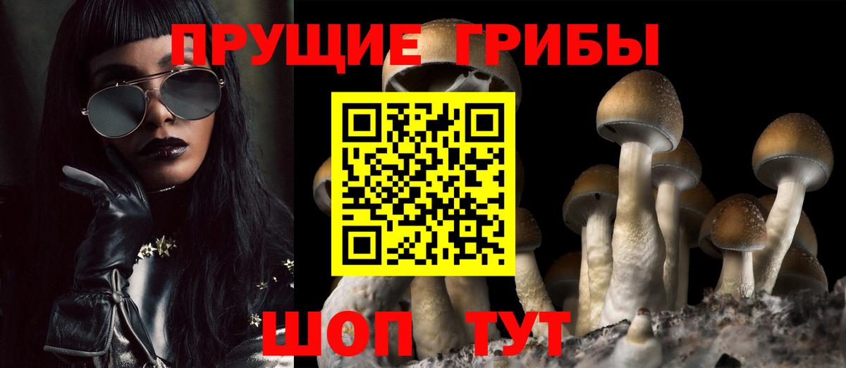 Псилоцибиновые грибы Magic Shrooms  Вход с VPN  Тутаев 
