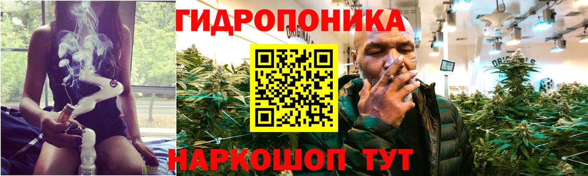 МАРИХУАНА OG Kush  Каннабис конопля  МАРИХУАНА план  Бошки марихуана AK-47  Тутаев 