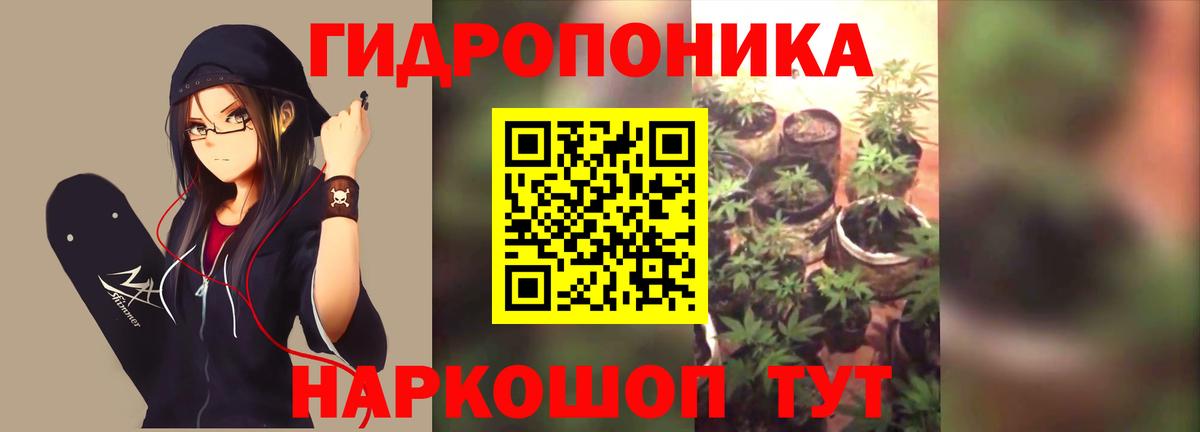 Бошки марихуана Bruce Banner Тутаев